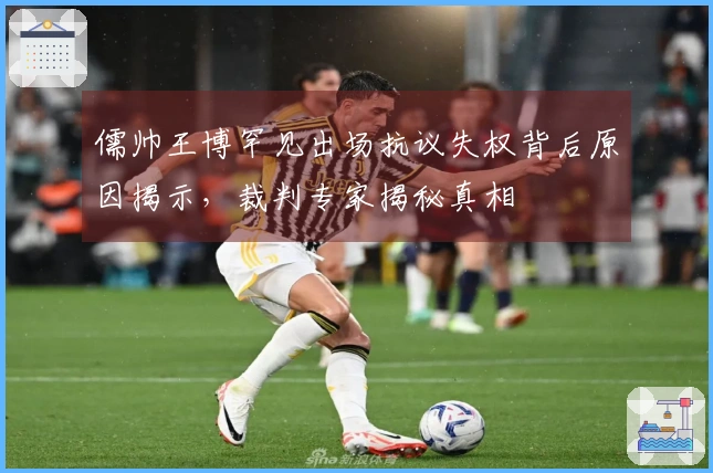 儒帅王博罕见出场抗议失权背后原因揭示，裁判专家揭秘真相